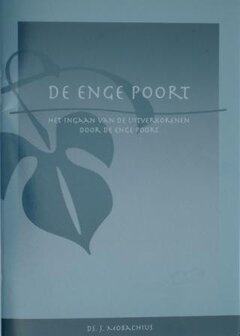 De enge poort | Joachim Mobachius